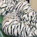 White Tiger Yikes